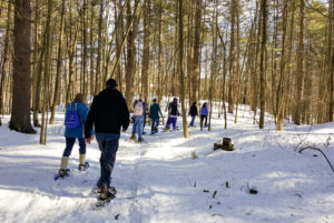 A group of visitors snowshoeing on the Loop Trail.