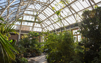 A side angle view of the Orangerie as you walk through the conservatory.