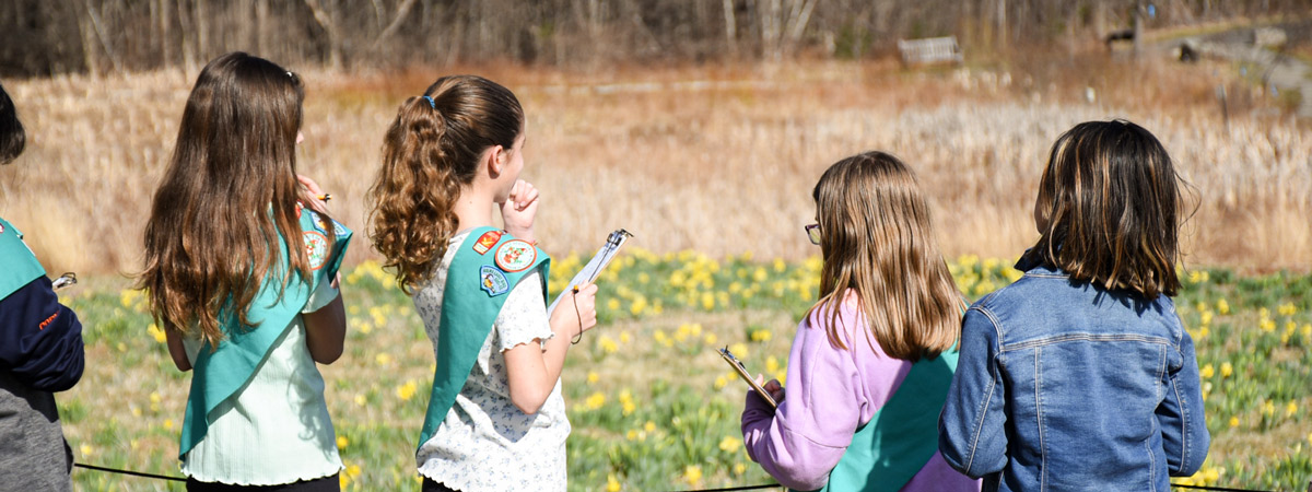 A group of girl scouts look over the daffodil field during a scout program.