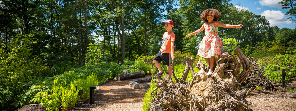 Two children climb on the features of The Ramble.