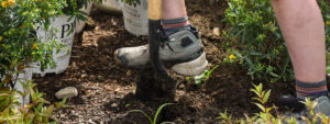 A gardener uses a shovel to dig a hole in a garden bed to plant a new plant.