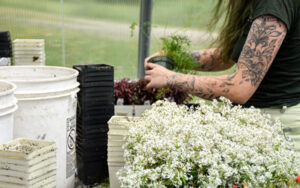 A stack of plastic pots sit beside a gardener as she repots plants.