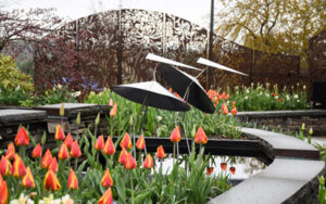 The turns sculptures are surrounded by an array of orange and red tulips in The Court.