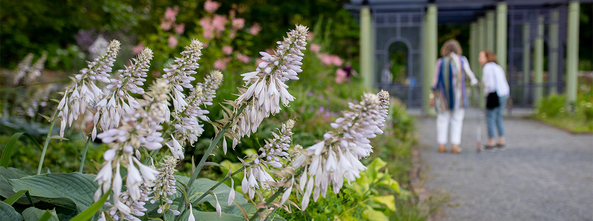 Visitors enjoying the Garden of Inspiration.