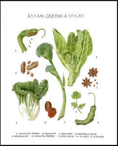 Art piece depicts asian greens and spices laid out against a white background.