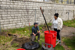 Seth and Jackie planting a tree.
