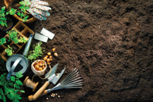 Garden tools lay on fresh soil in the climate garden.