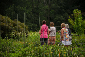 Visitors enjoying the garden.