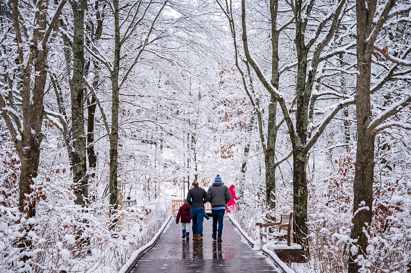Visitors walking down Pliney's Allee during winter at the garden.