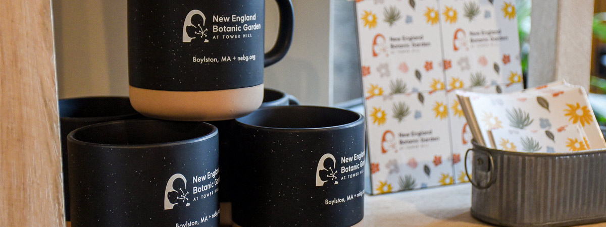 Close up of New England Botanic Garden Mugs in the Garden Shop.