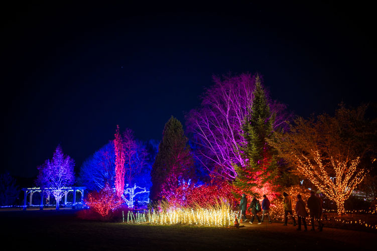 The Lawn Garden lit up during Night Lights.