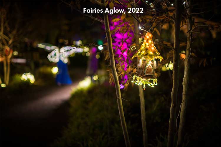 A small fairy house lit up at night during Fairies Aglow in fall 2022.