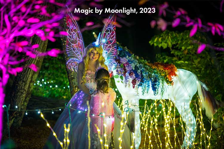 A young girl talks to the fairy during Magic by Moonlight.