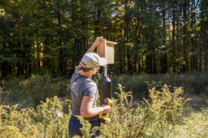 Georgia Albanese installs a bluebird box fall of 2023. Photo by Megan Stouffer/New England Botanic Garden.