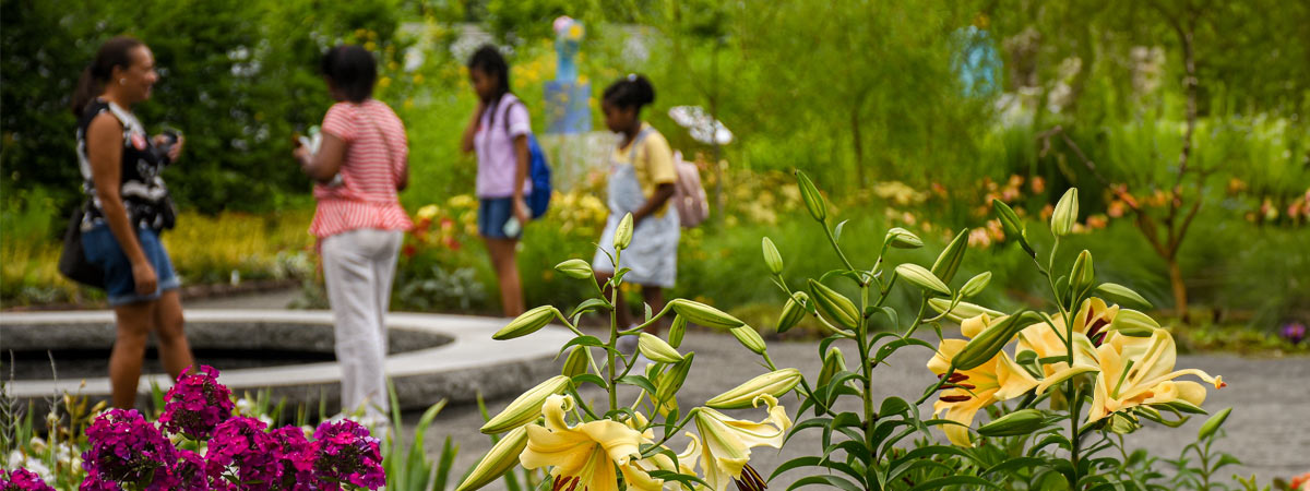 Visitors walking around the Garden of Inspiration.
