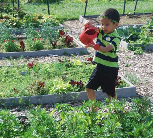 A child with a watering can helps out in the Climate Garden.