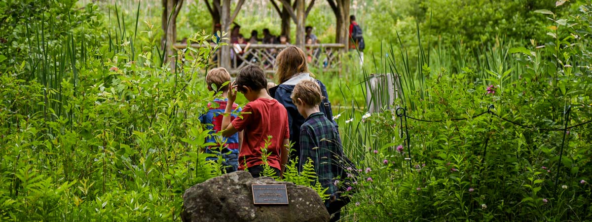 Children standing at the edge of the wildlife refuge pond.