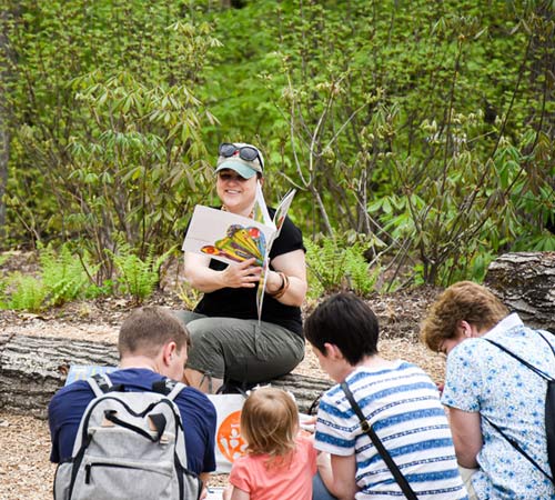 Children listen to a nature story in the Ramble during Nature Play Days.