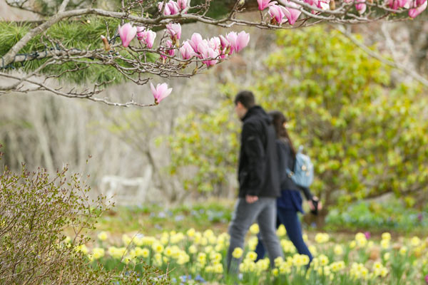Visitors walking around the garden surrounded by the spring blooms.