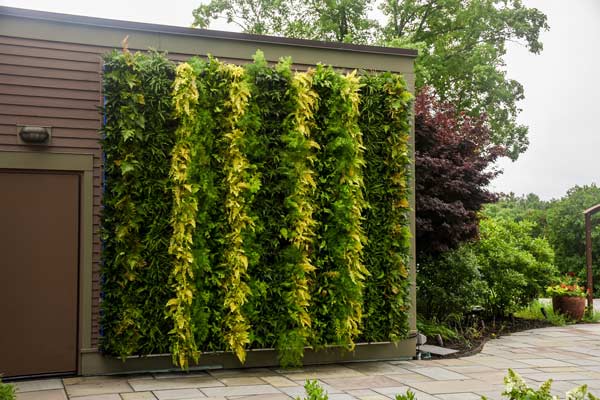 The Shade living walls feature plants in an vertical striped pattern.