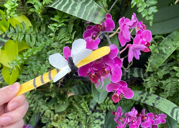 A popsicle bee on a flower for a children activity.