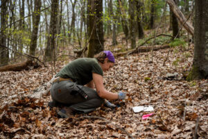 Landscape Gardener Georgia Albanese plants a chestnut tree seed.