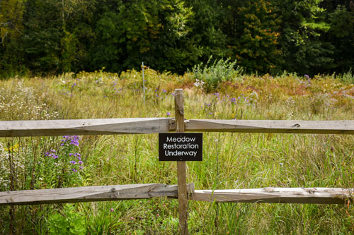 A meadow restoration sign sits on a fenced off area before one of the Garden's meadow areas.