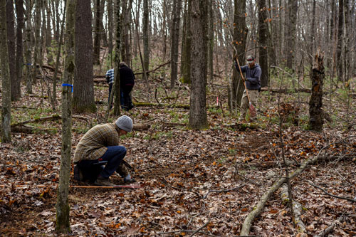 Garden staff and volunteers work to clear a new trail through the woods.