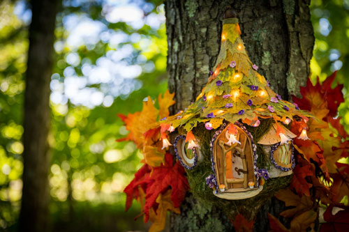A fairy house sits on a tree trunk during Enchanted Forest