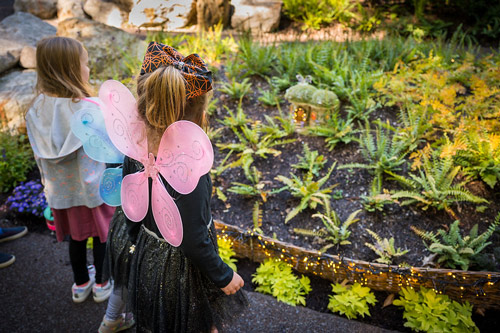 Two young girls look at a fairy house in the Ramble wearing fairy wings.