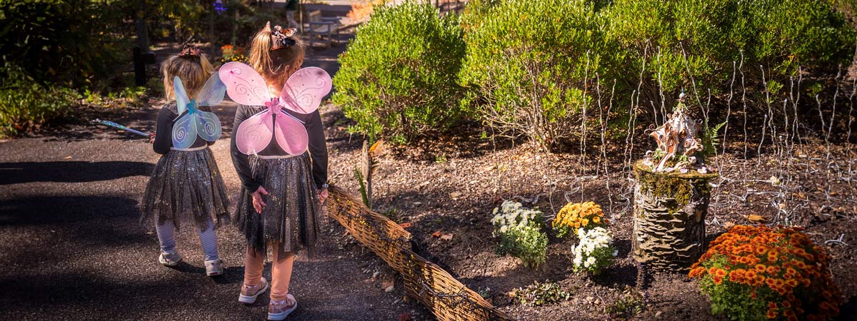 Two young girls look at a fairy house in the Ramble wearing fairy wings.