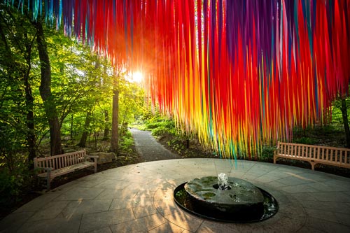 The sun shines through the streamers of the summer exhibition, Flora in Flight.