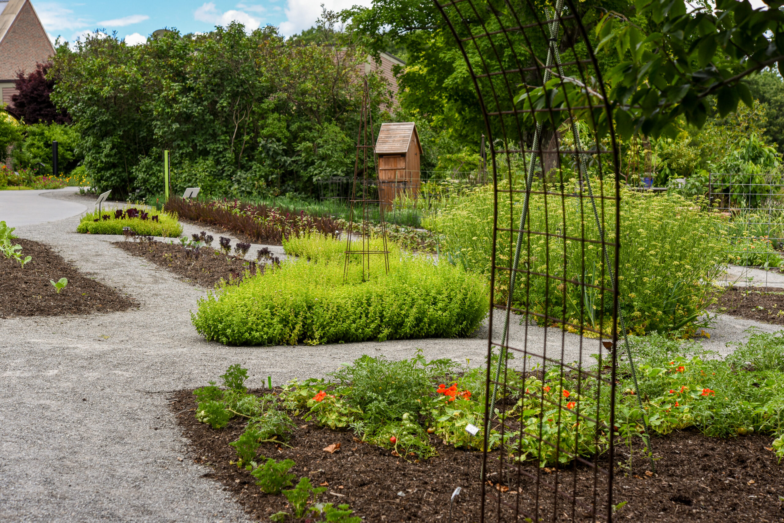 A view of the Vegetable Garden in the summer.