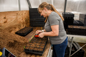 Dawn Davies plants seeds in the Garden's growhouse.