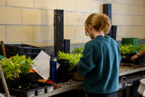 A horticulture intern helps plant the cells of the sun living wall.