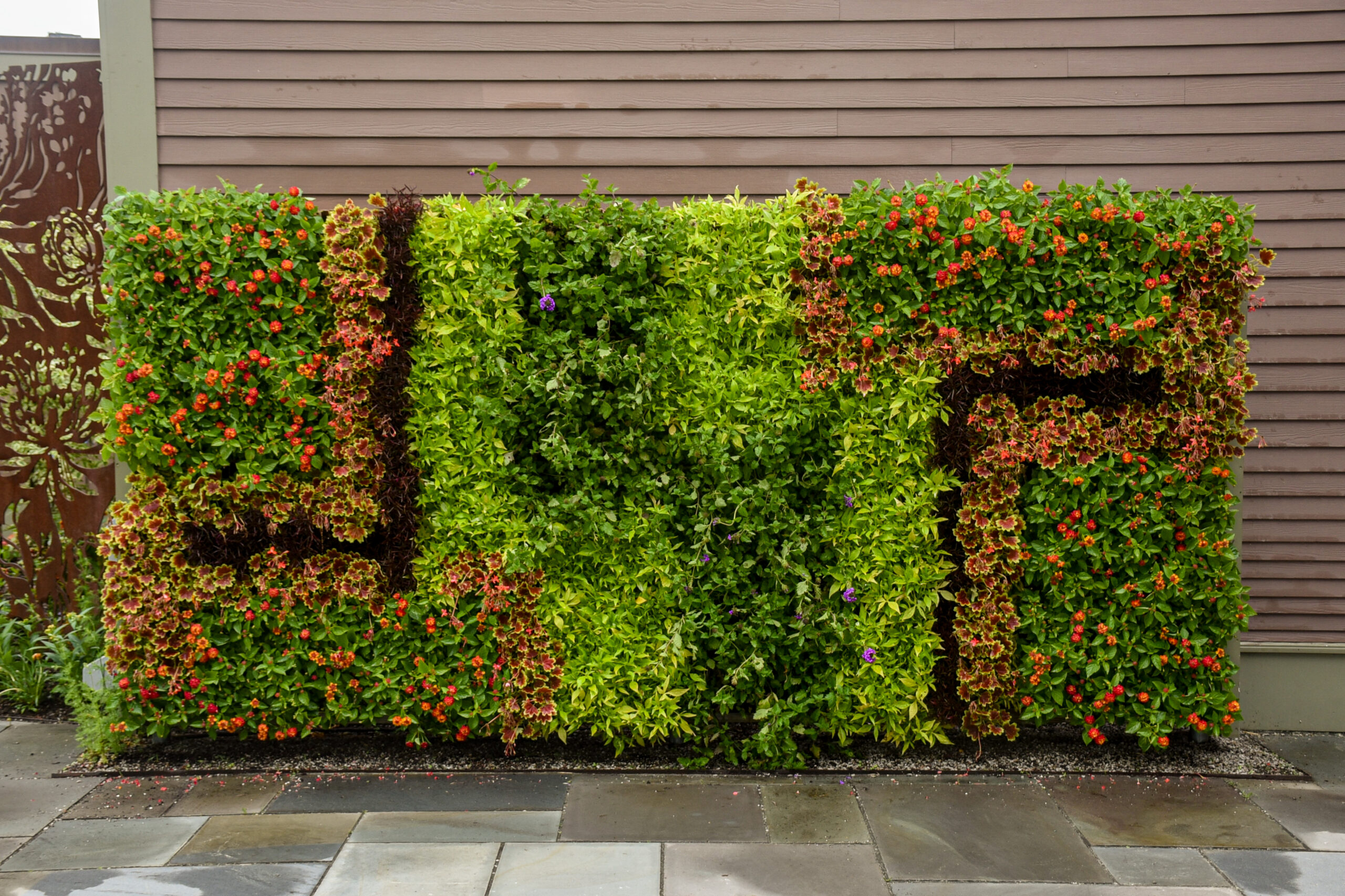 The sun living wall display in summer of 2024 shows off a geometric pattern.
