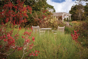 lawn chairs surrounded by tall grass in the garden