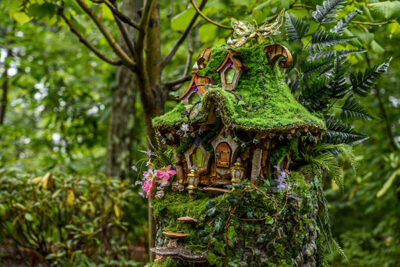 : One of the stump houses features a green moss roof and intricate mushroom stairs going down the trunk.