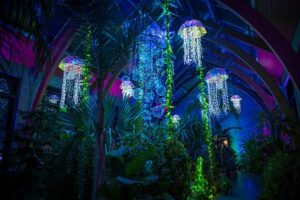 Jelly fish lights in a conservatory