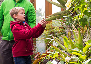 A young boy looking at plants in the limonaia.