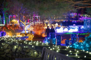 Two people surrounded by holiday lights