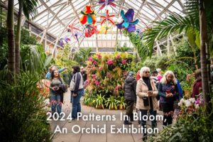 Pattern In Bloom exhibit