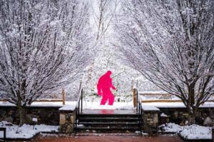 Hot pink Yeti posed at the top of the stairs outside