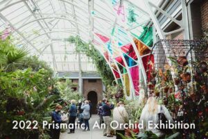 Prismatic exhibit