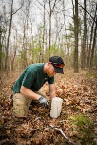 Robert Graham chestnut restoration