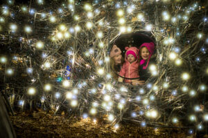 An igloo made of twigs and illuminated with string lights