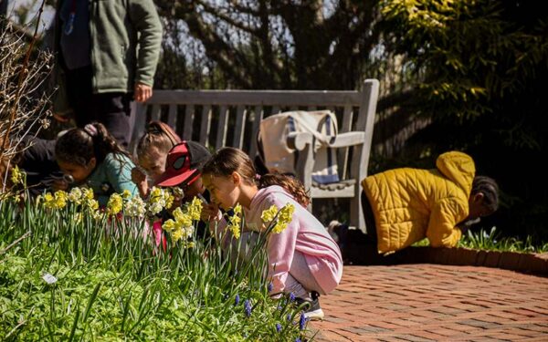 kids inspecting plants