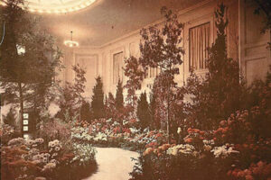 A fall chrysanthemum show at former Society headquarters at 30 Elm St in Worcester.