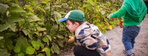 kids inspecting plants