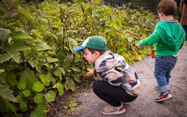 kids inspecting plants